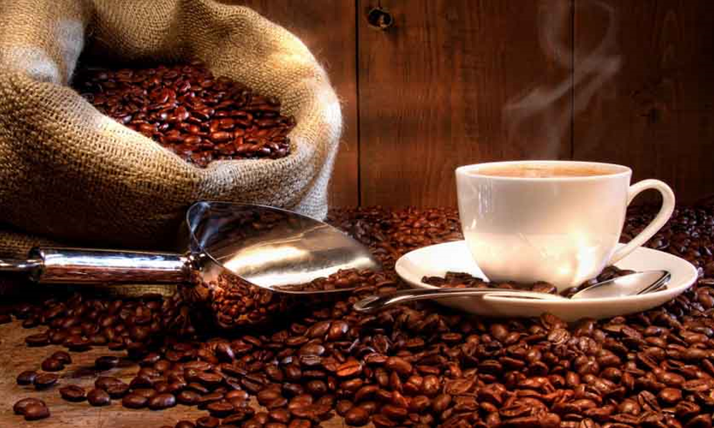Café de Oaxaca, orígenes y actualidad