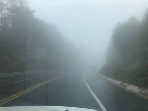 carretera con neblina en las faldas del cofre de perote veracruz